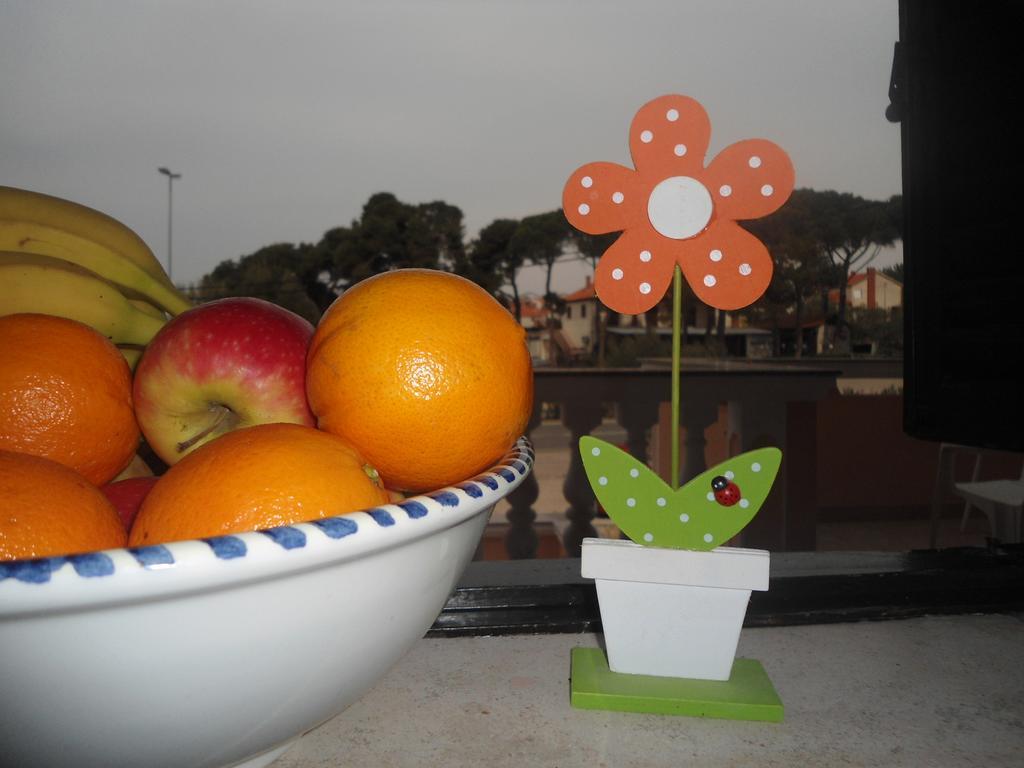 Apartment And Rooms Toka Zadar Rom bilde